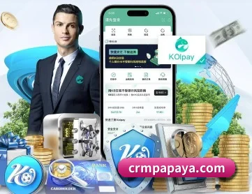 问鼎平台 APP 深度功能